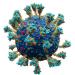 COVID virus, Wikimedia Commons