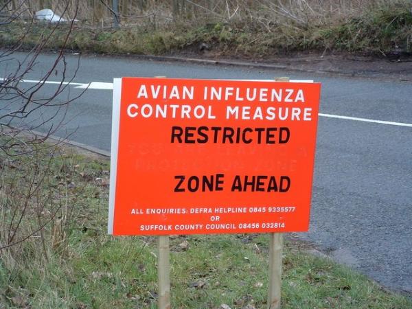 Avian flu warning sign